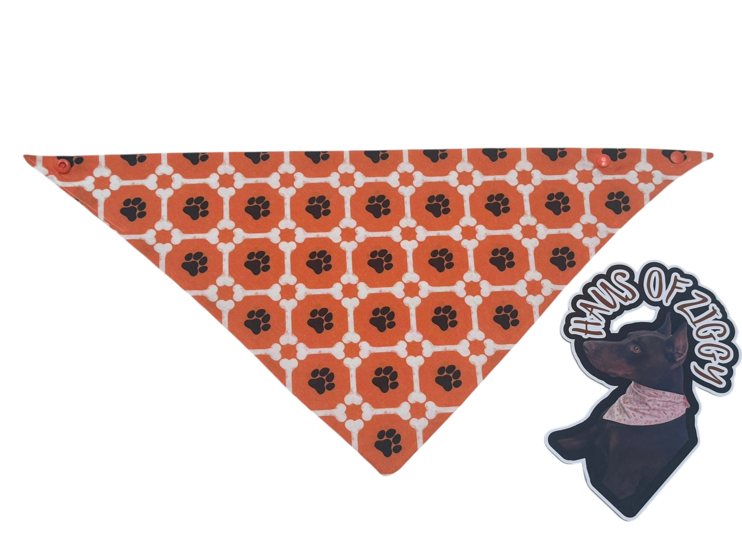 Haus of Ziggy Bandanas