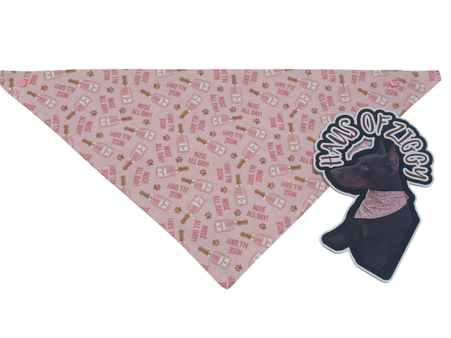 Haus of Ziggy Bandanas