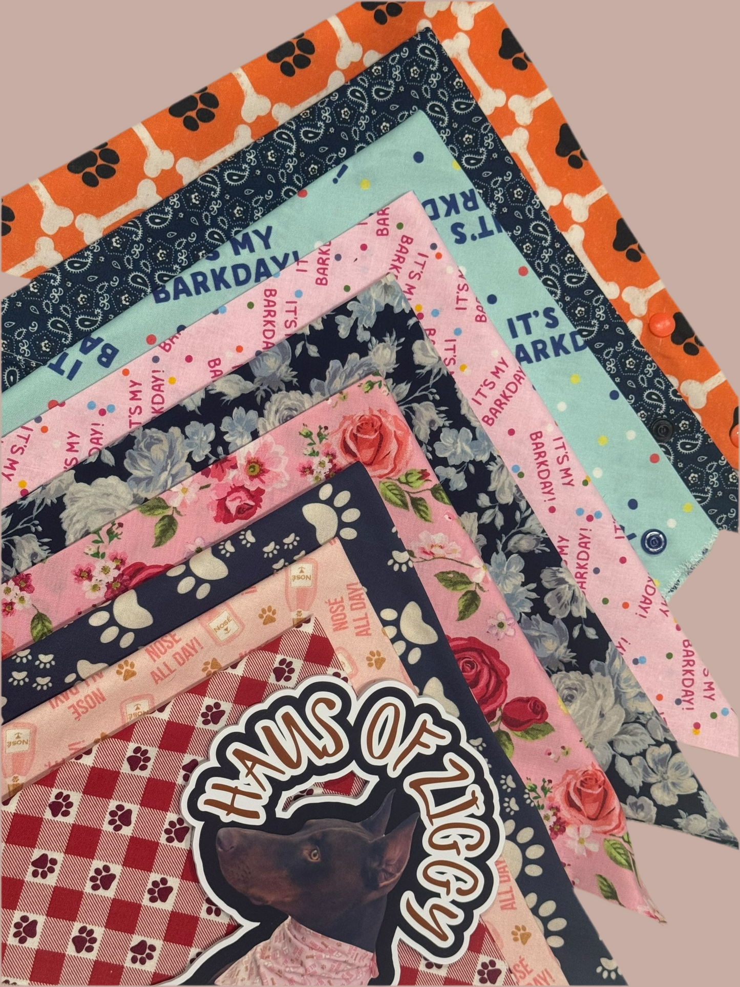 Haus of Ziggy Bandanas
