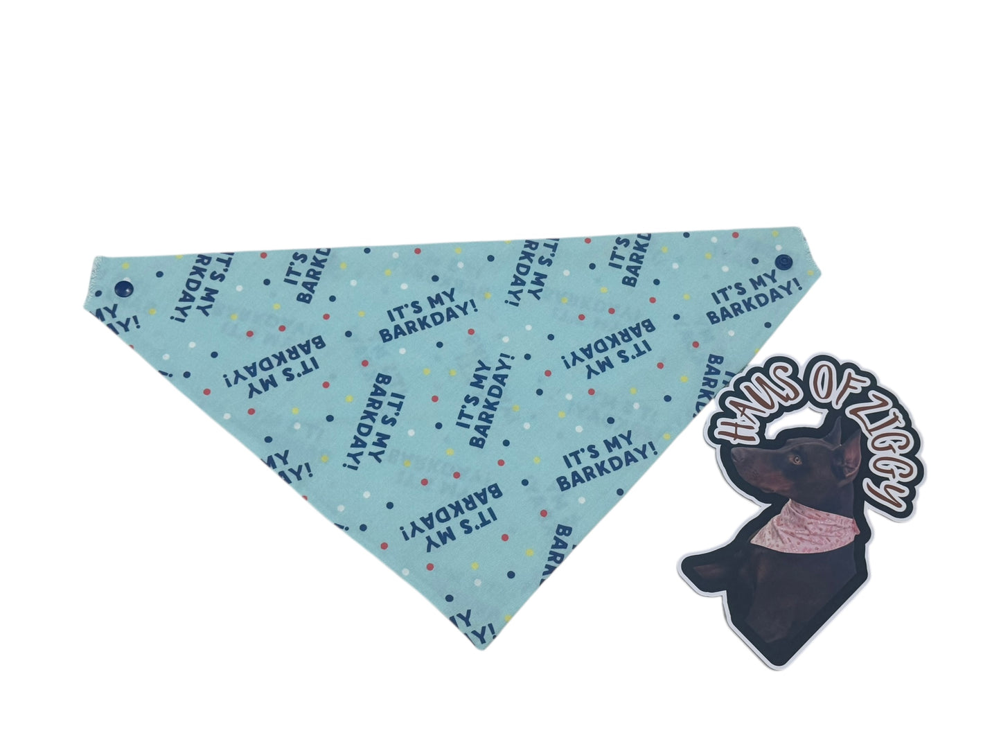Haus of Ziggy Bandanas