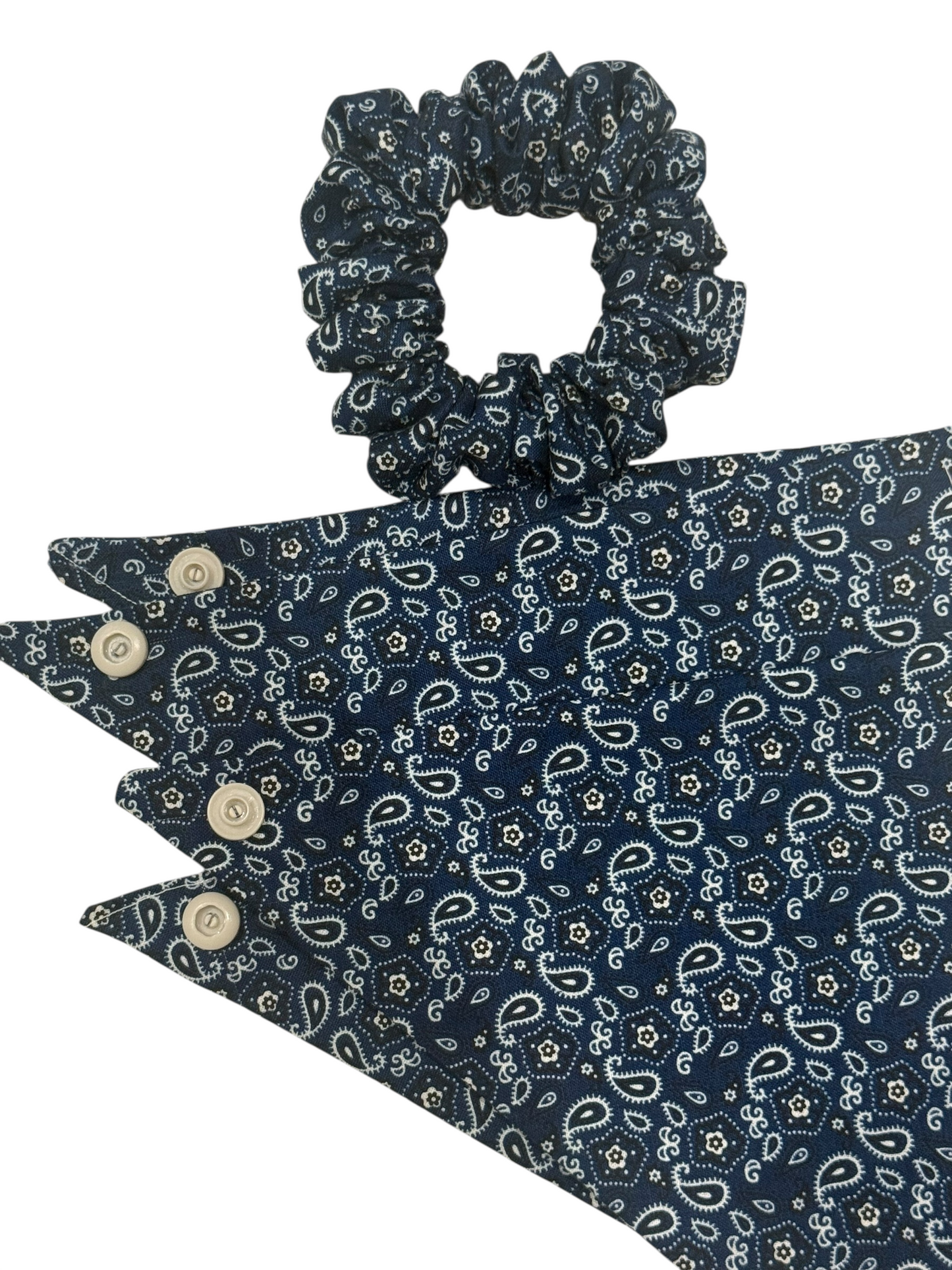 Haus of Ziggy Bandanas
