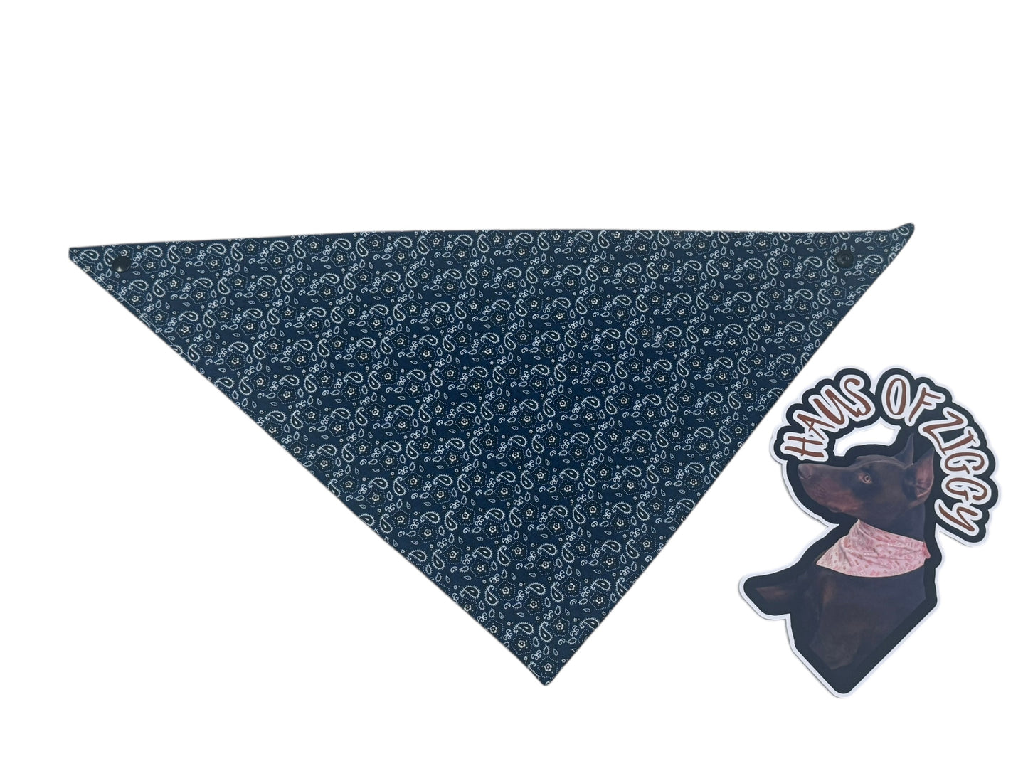 Haus of Ziggy Bandanas