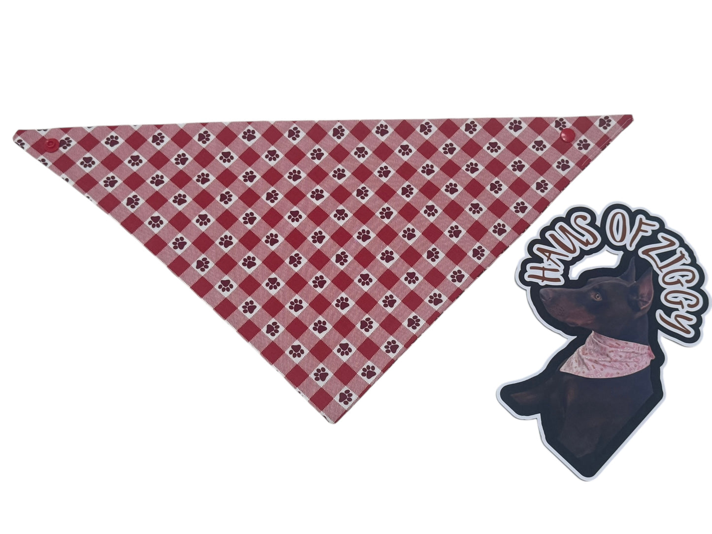 Haus of Ziggy Bandanas