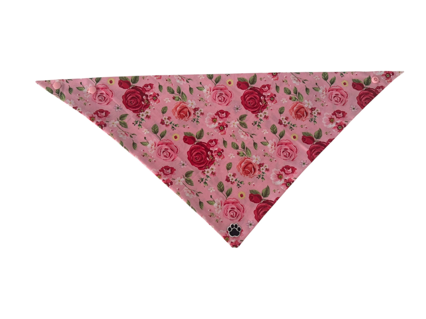 Haus of Ziggy Bandanas