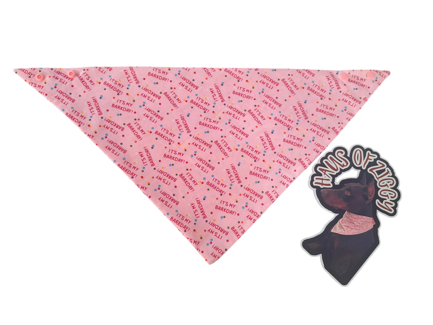 Haus of Ziggy Bandanas